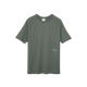 AGAVE GREEN