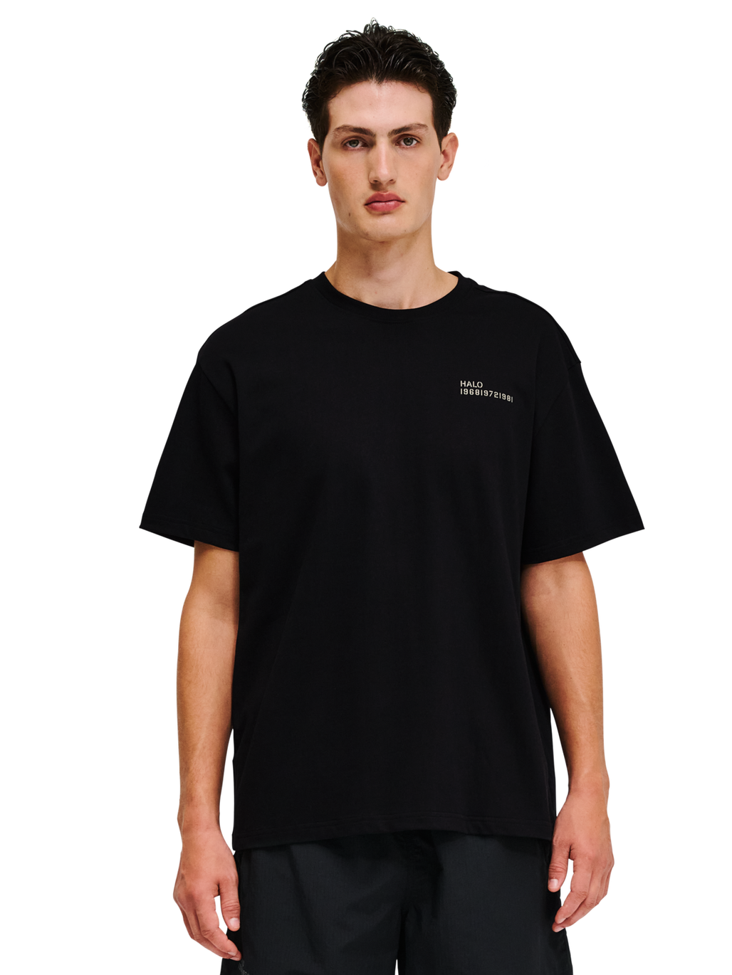 HALO GRAPHIC T-SHIRT, BLACK/SENECA ROCK/SR, model