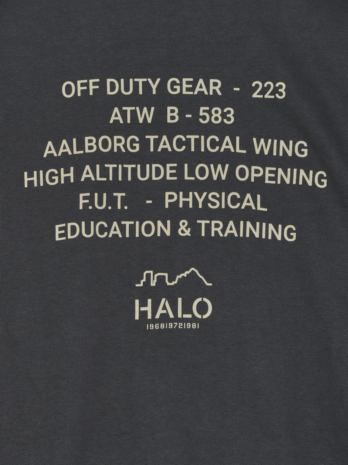 HALO GRAPHIC BOXY CREW, ASPHALT, packshot