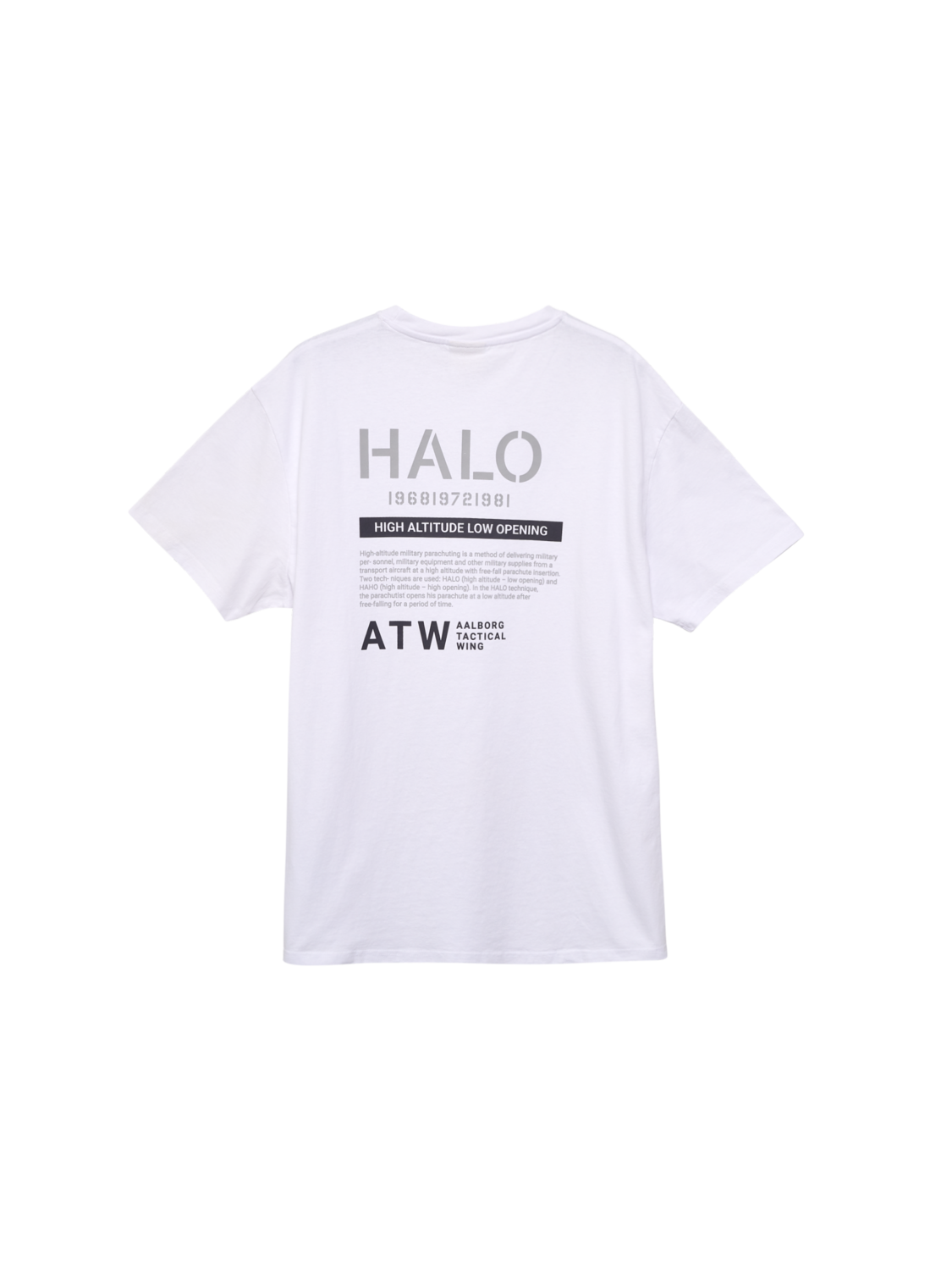 HALO HEAVY GRAPHIC T-SHIRT 223 ATW, 9001, packshot