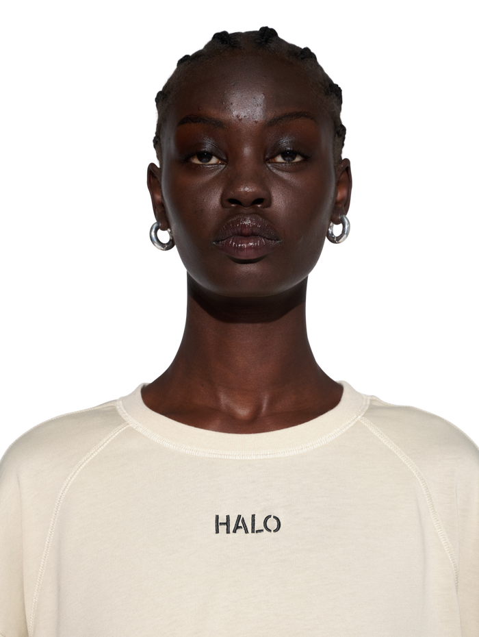 HALO CORDURA L/S T-SHIRT, OYSTER GRAY, model