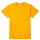 GOLD FUSION