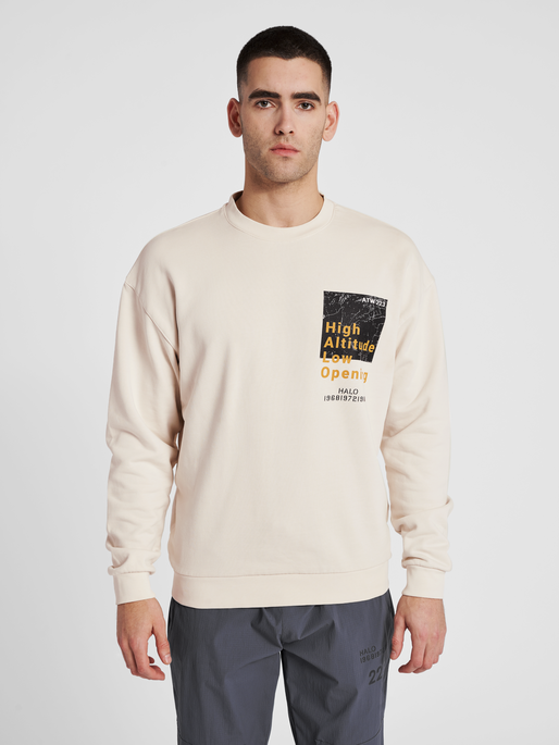 HALO GRAPHIC CREW, SILVER BIRCH, model