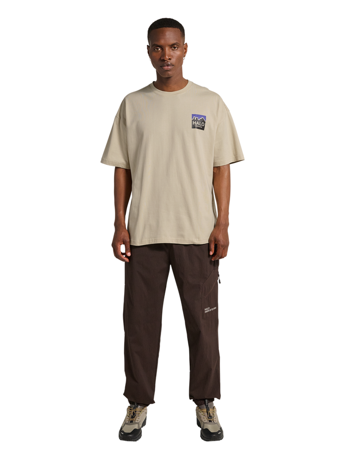 HALO GRAPHIC BOXY T-SHIRT, OYSTER GRAY/OYSTER GRAY, model