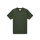 OLIVE NIGHT