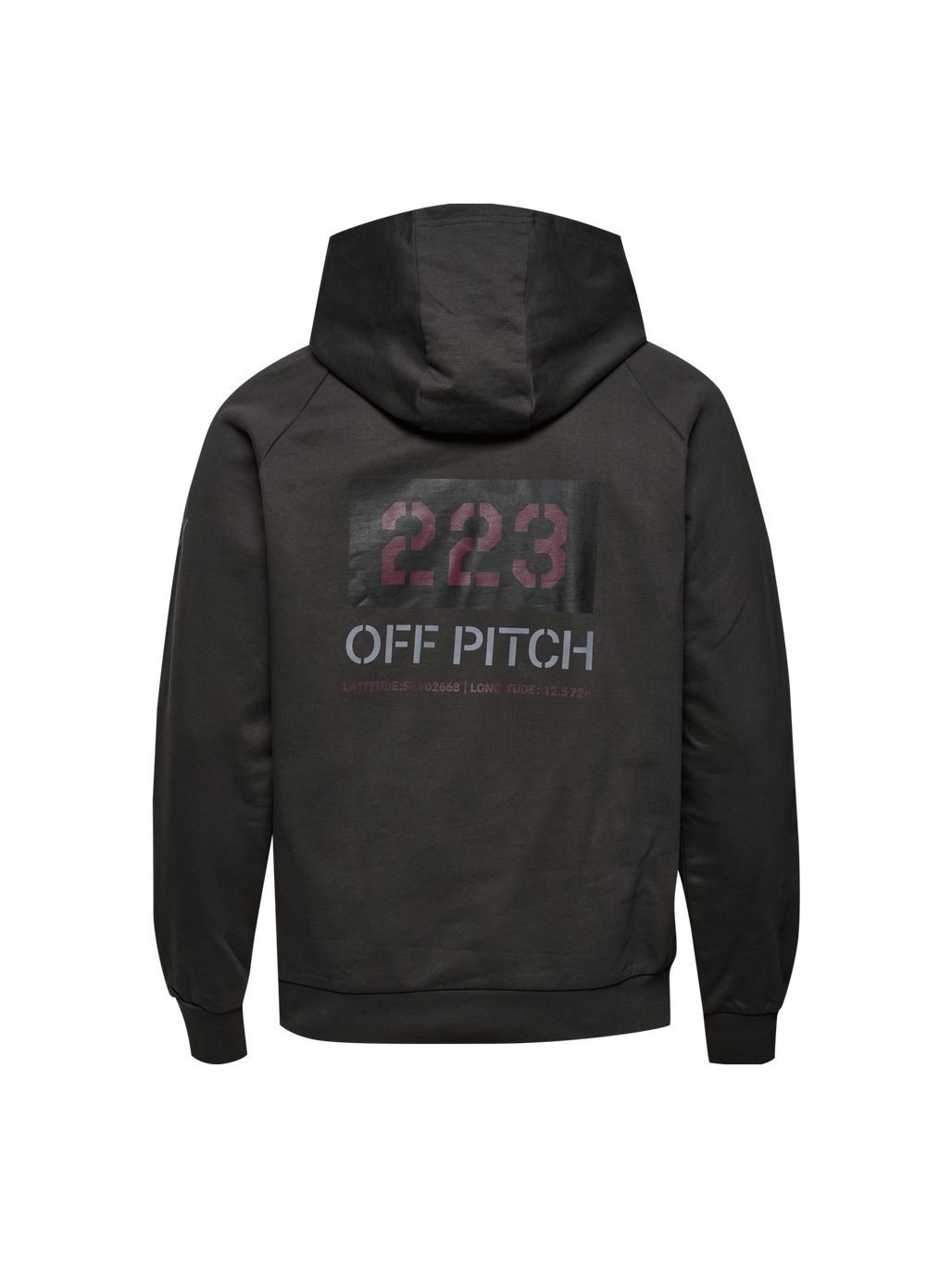 HALO DBU GRAPHIC HOODIE, RAVEN, packshot