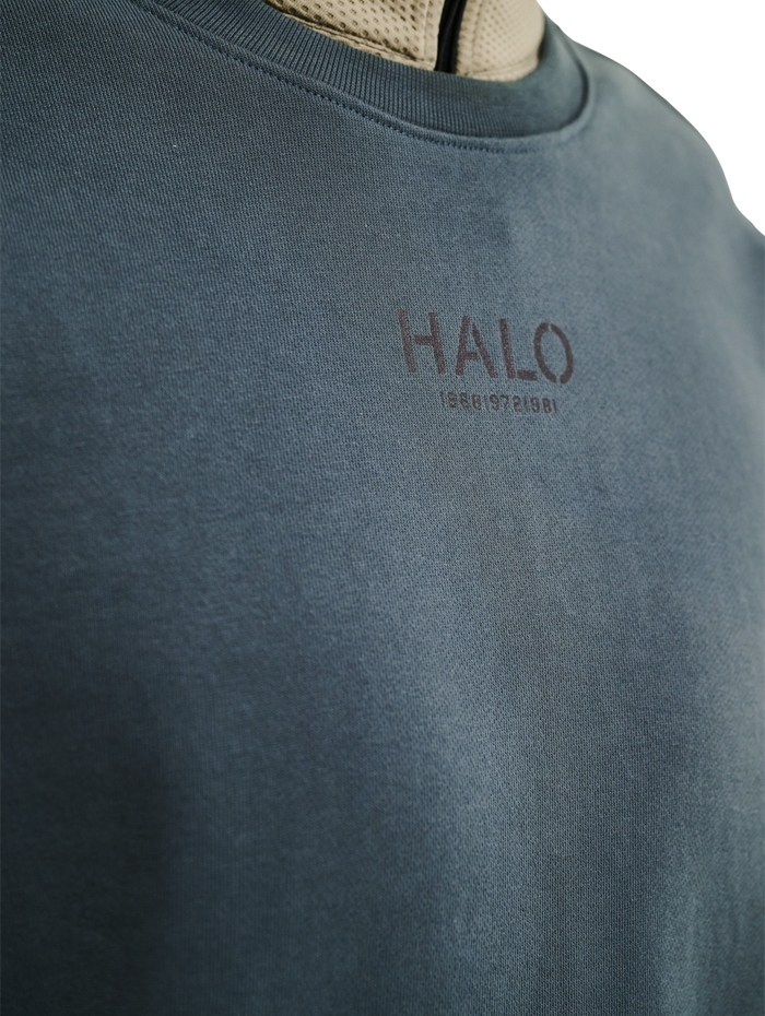 HALO GRAPHIC CREW 01, DARK SLATE, model