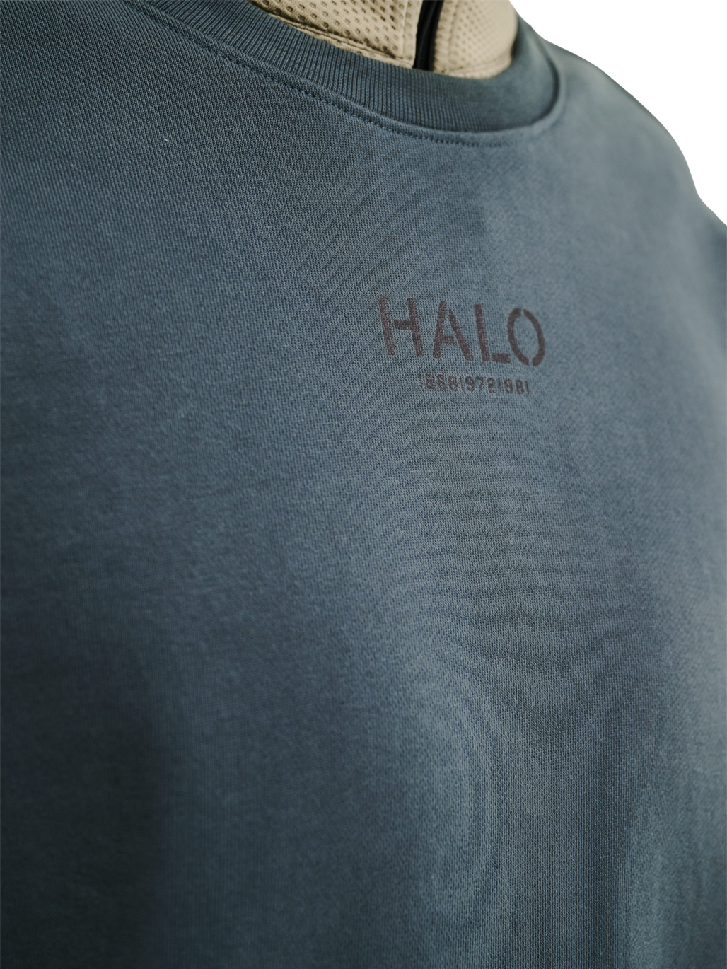 HALO GRAPHIC CREW 01, DARK SLATE, model
