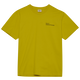 WARM OLIVE