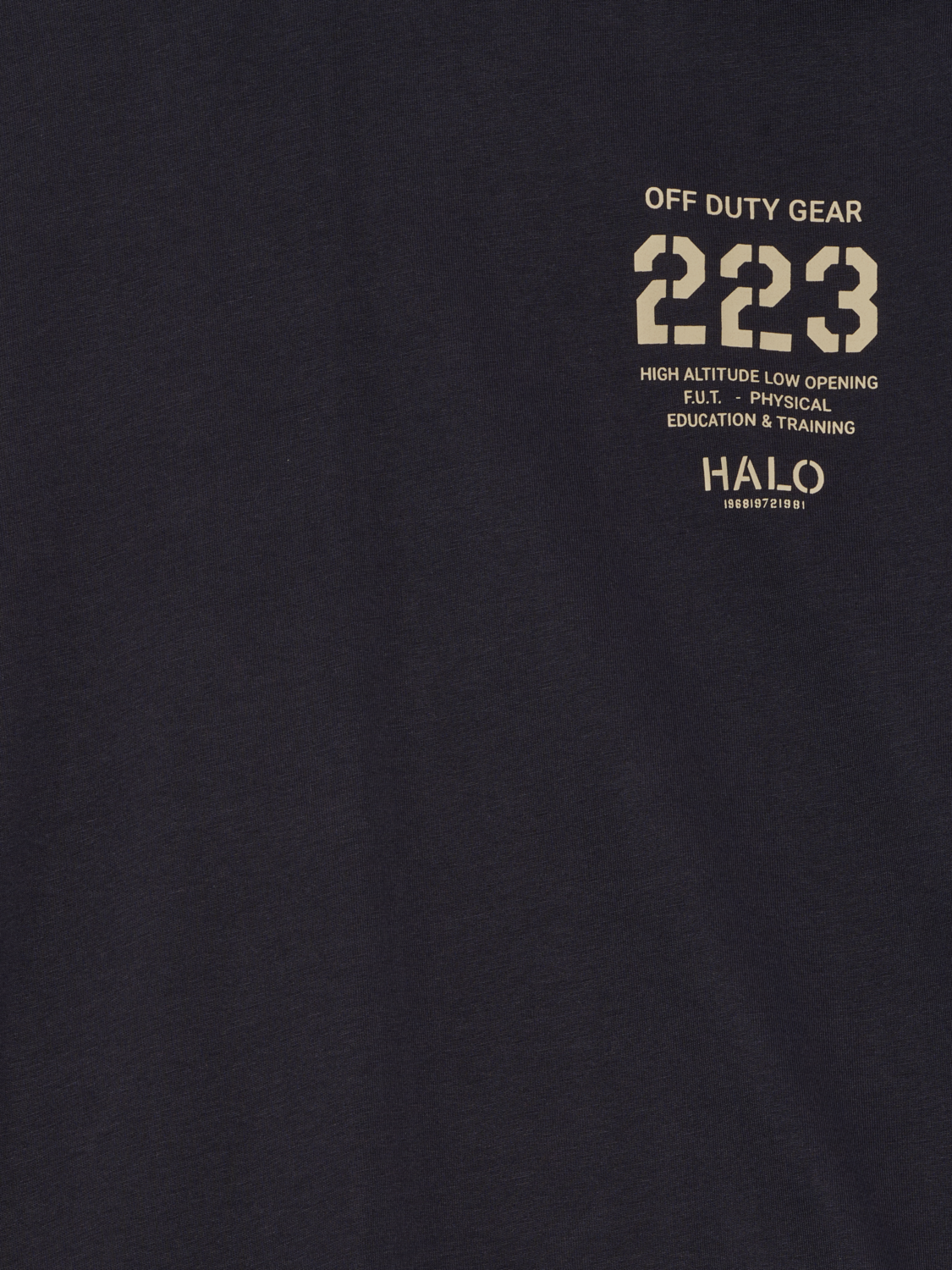 HALO GRAPHIC BOXY T-SHIRT, DEEP WELL, packshot