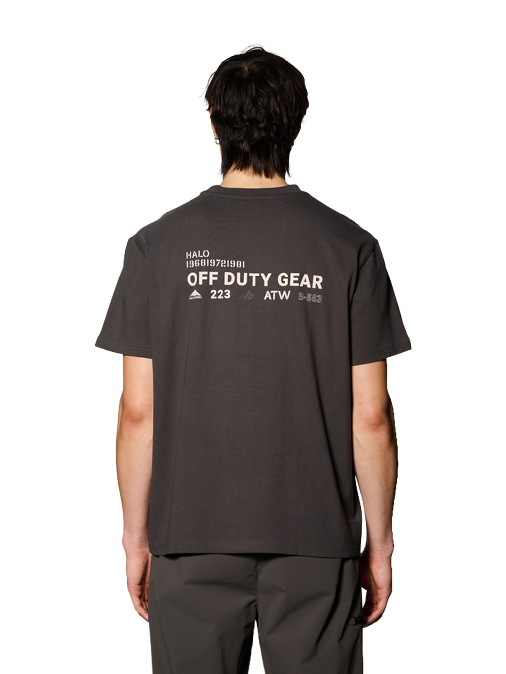 HALO COLD SHORE T-SHIRT, RAVEN, model