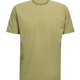 CEDAR