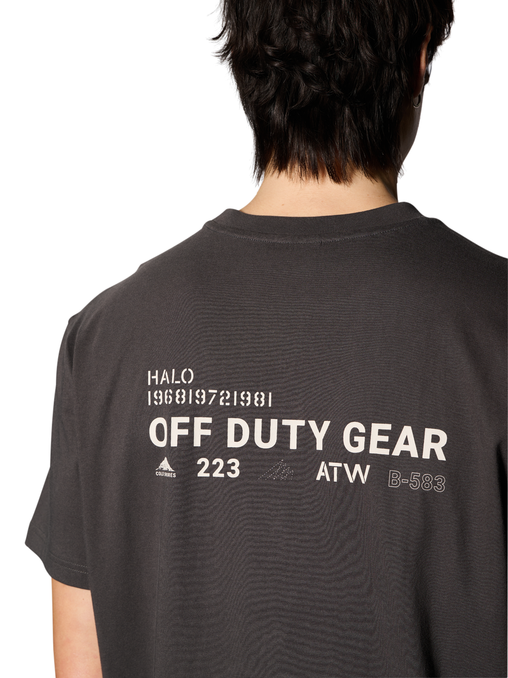 HALO COLD SHORE T-SHIRT, RAVEN, model