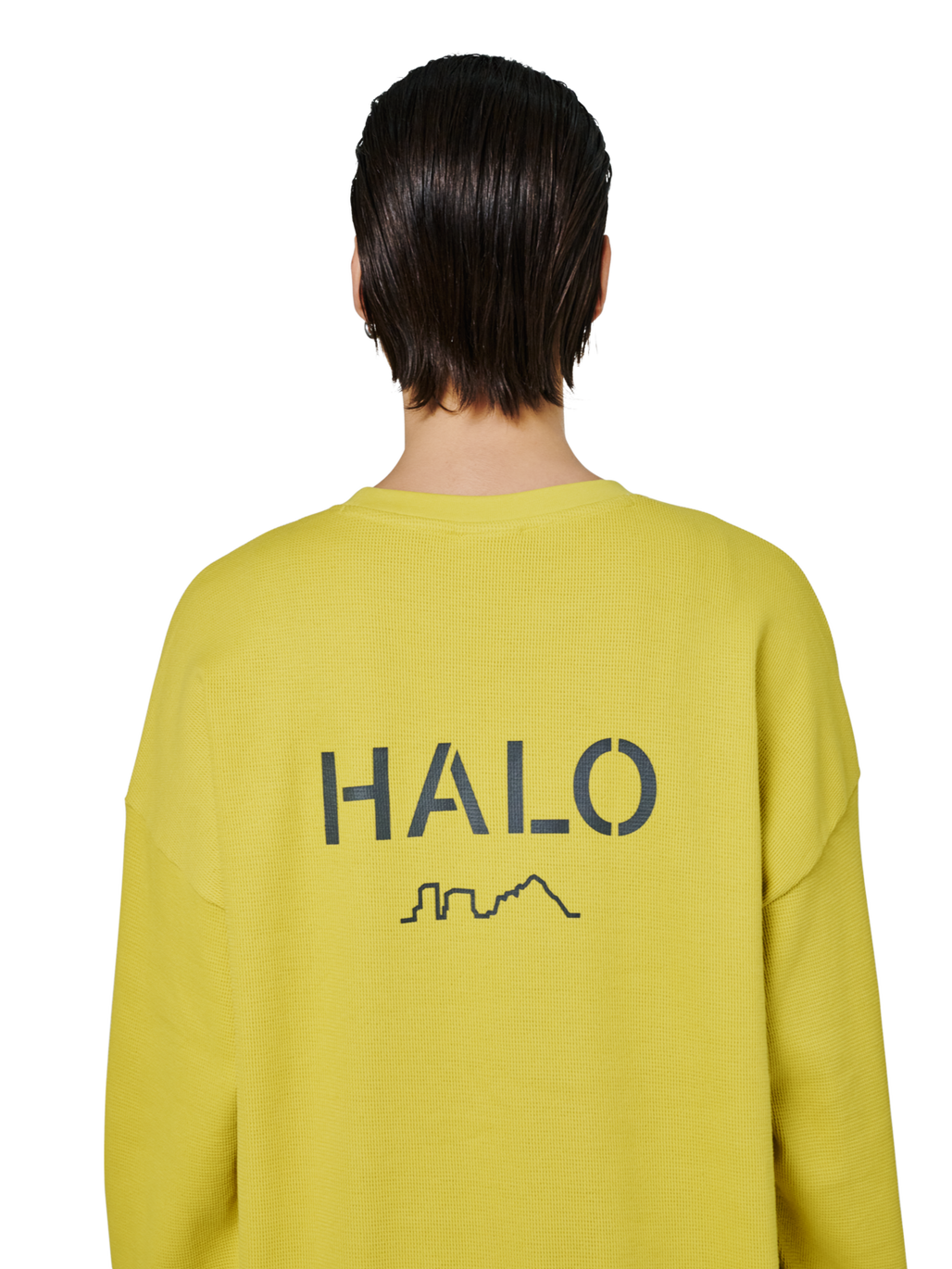 HALO AVIATION WAFFLE CREW, WARM OLIVE, model