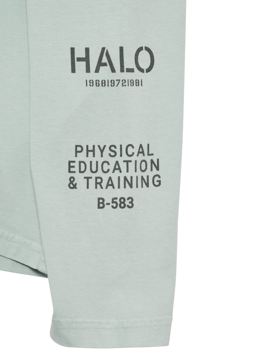 HALO GRAPHIC LOGO LONGSLEEVE, STORM GRAY, packshot