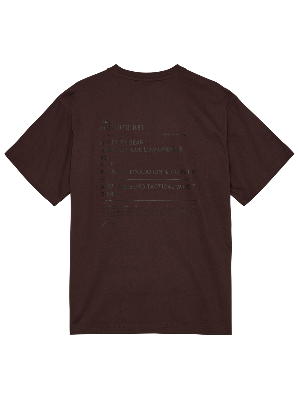 HALO GRAPHIC T-SHIRT, BITTER CHOCOLATE, packshot