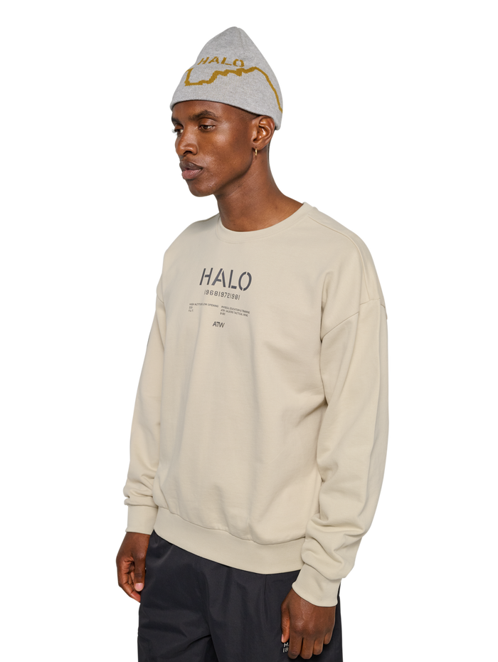 HALO GRAPHIC BOXY CREW, OYSTER GRAY, model