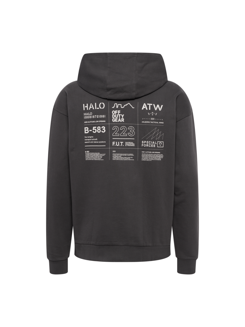 HALO GRAPHIC HOODIE, RAVEN, packshot