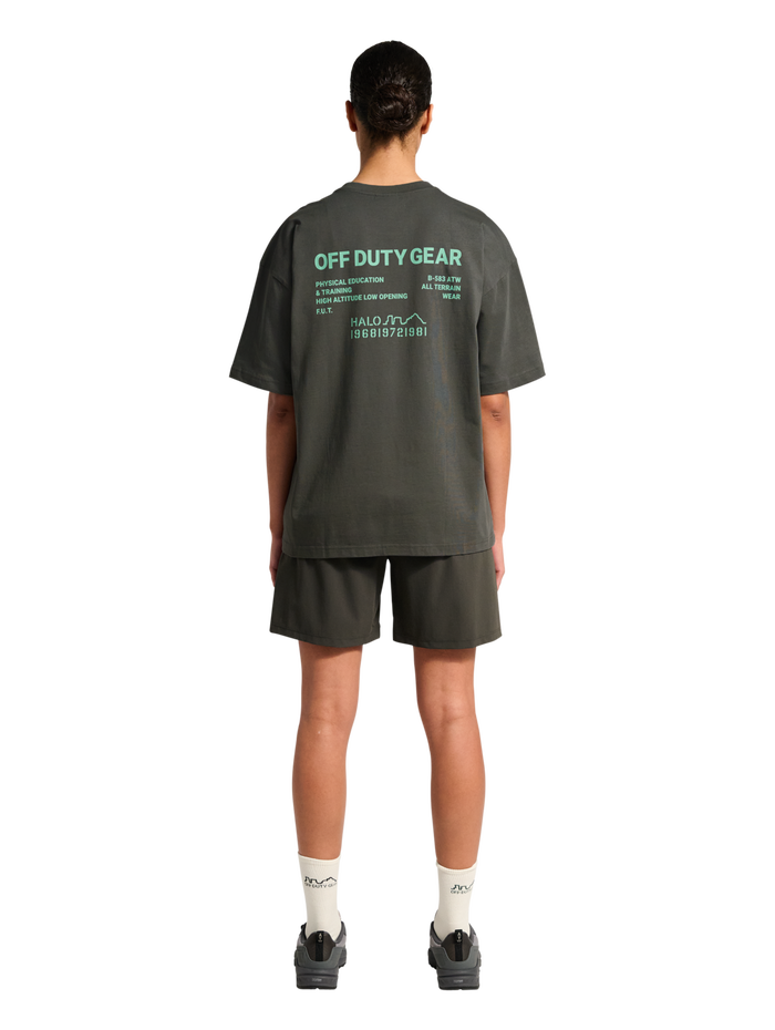 HALO GRAPHIC BOXY T-SHIRT, GUNMETAL/SPRING BOUQUET, model