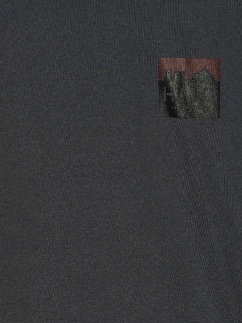 HALO GRAPHIC BOXY T-SHIRT, ASPHALT/ASPHALT, packshot