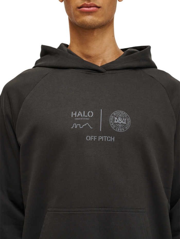 HALO DBU GRAPHIC HOODIE, RAVEN, model