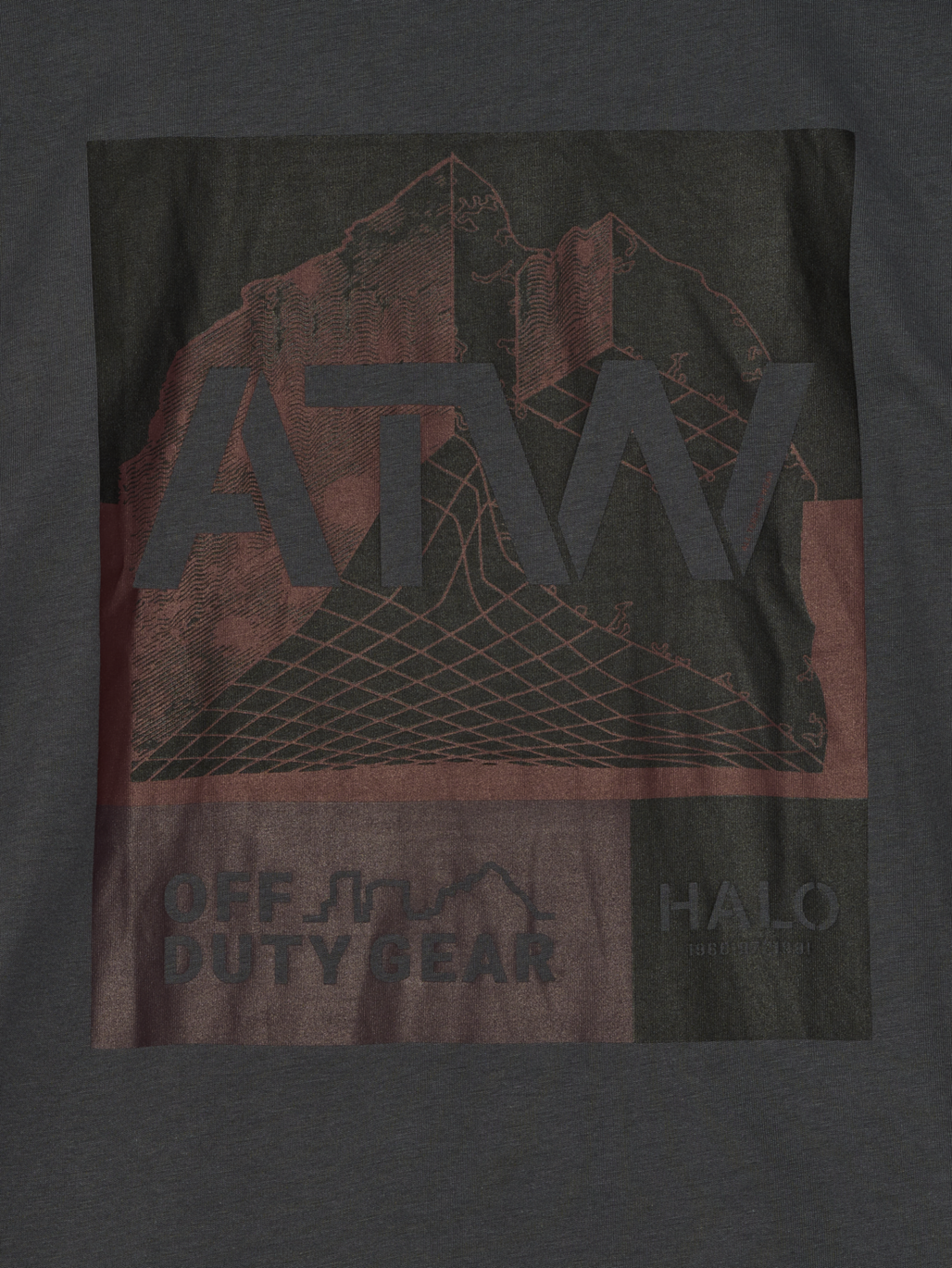 HALO GRAPHIC BOXY T-SHIRT, ASPHALT/ASPHALT, packshot