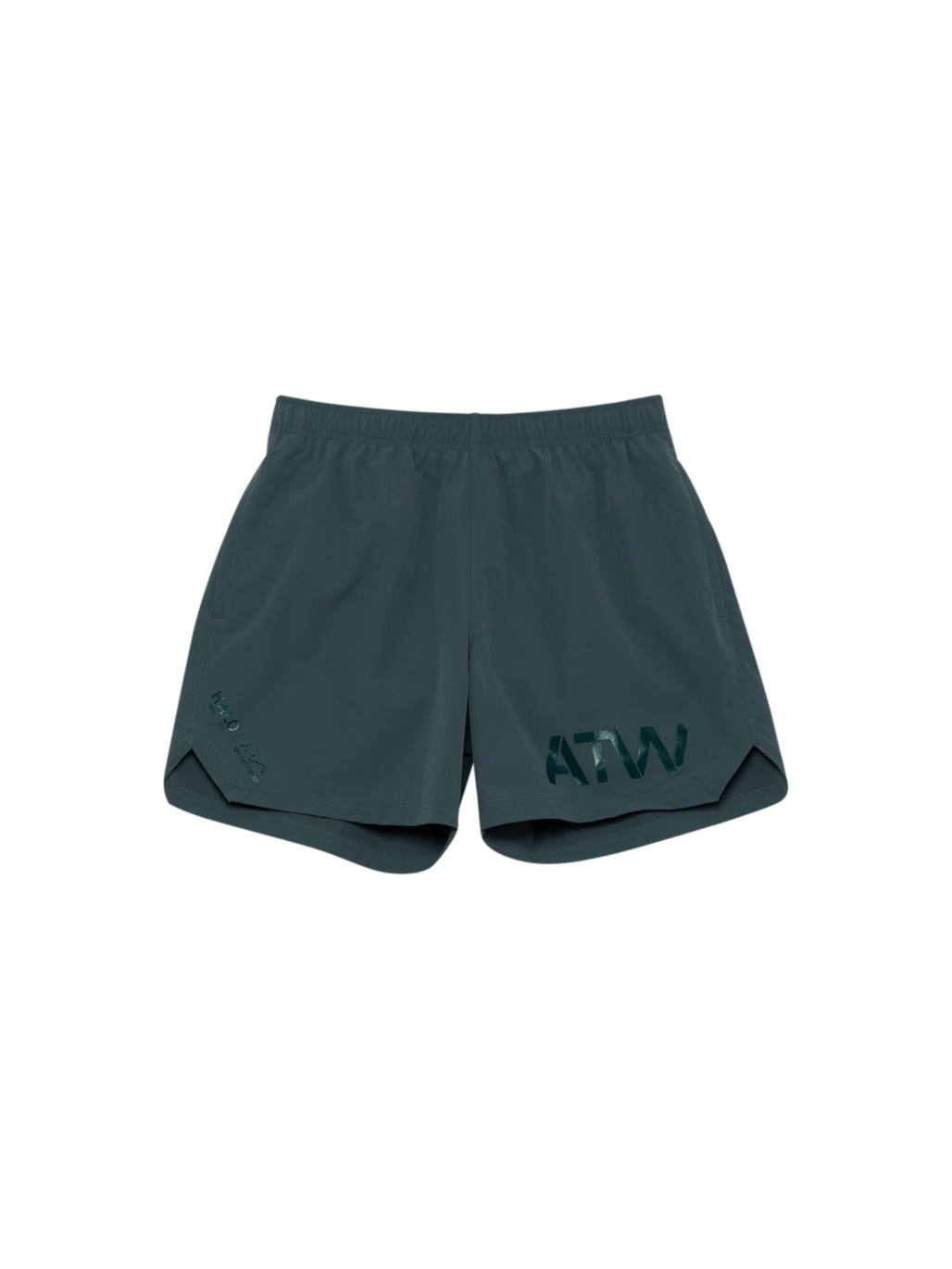 HALO SHORTS, DARK SLATE/BOTANICAL GARDEN, packshot