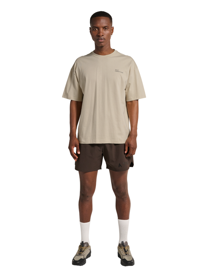 HALO GRAPHIC BOXY T-SHIRT, OYSTER GRAY/ASPHALT, model