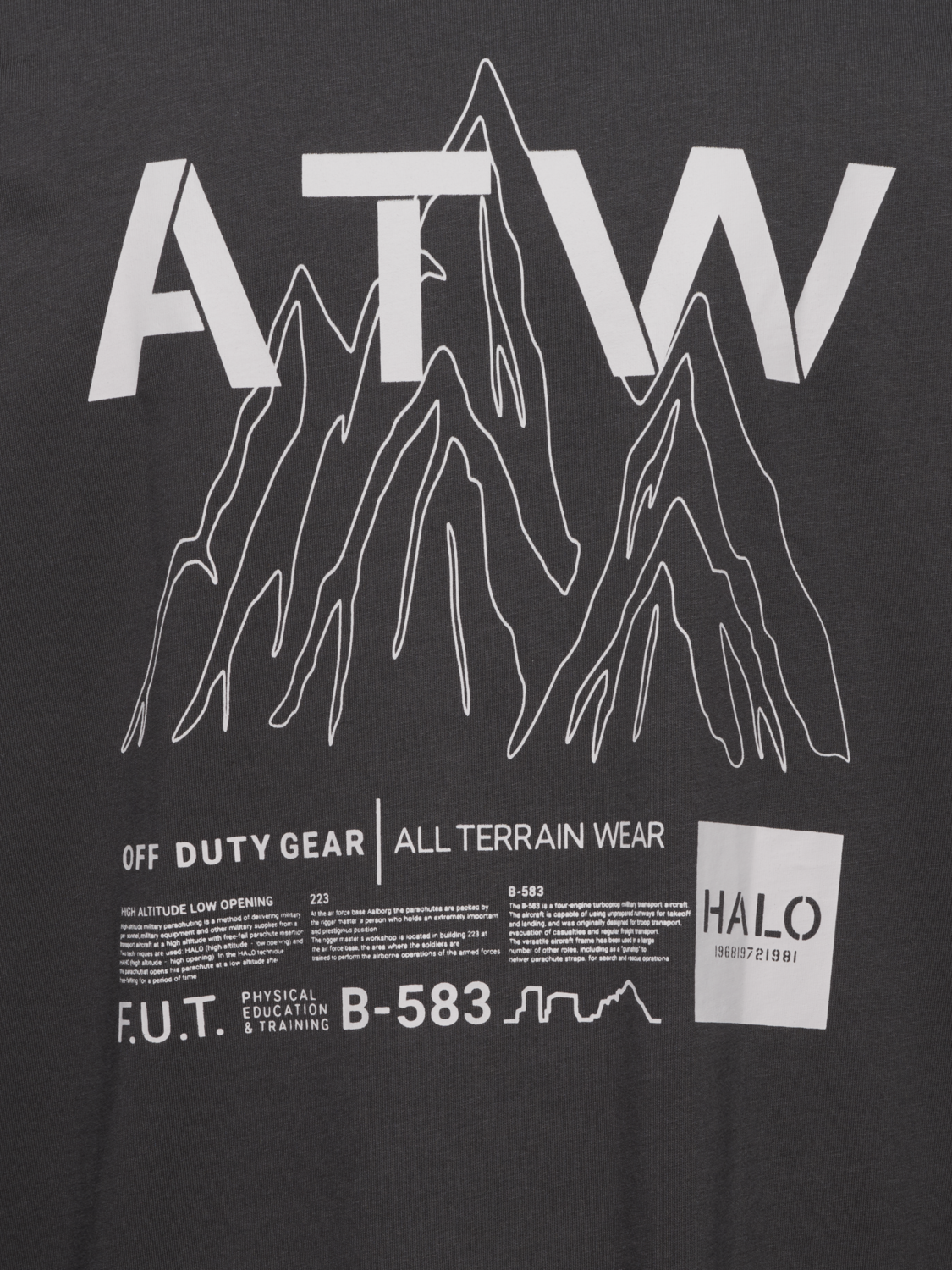 HALO GRAPHIC T-SHIRT 02, RAVEN, packshot