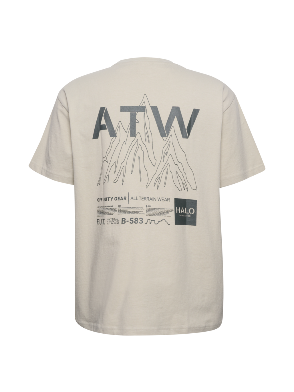 HALO GRAPHIC T-SHIRT 02, SILVER LINING, packshot