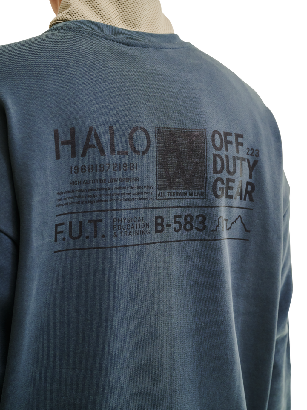 HALO GRAPHIC CREW 01, DARK SLATE, model