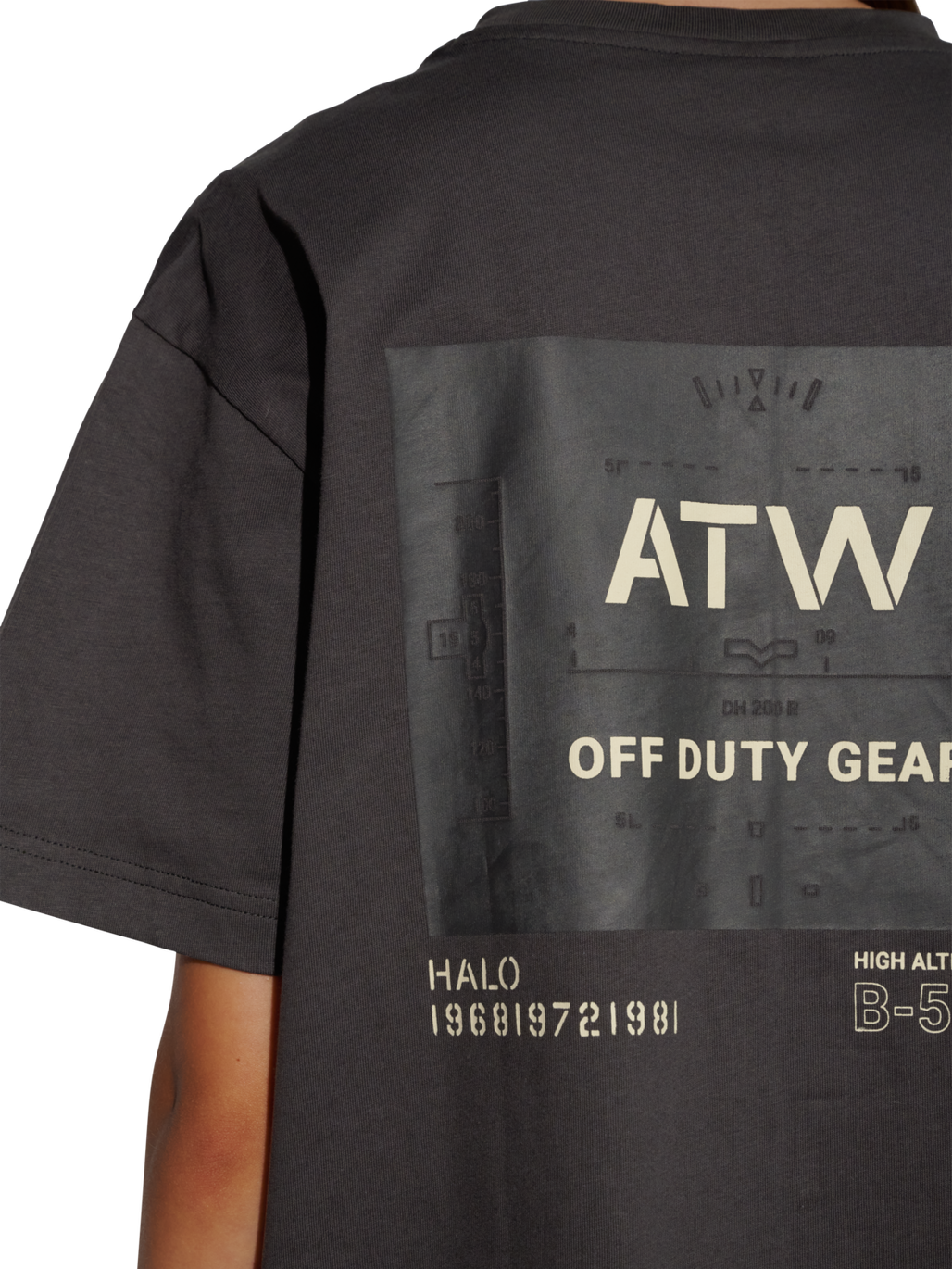 HALO B-583 T-SHIRT, RAVEN, model