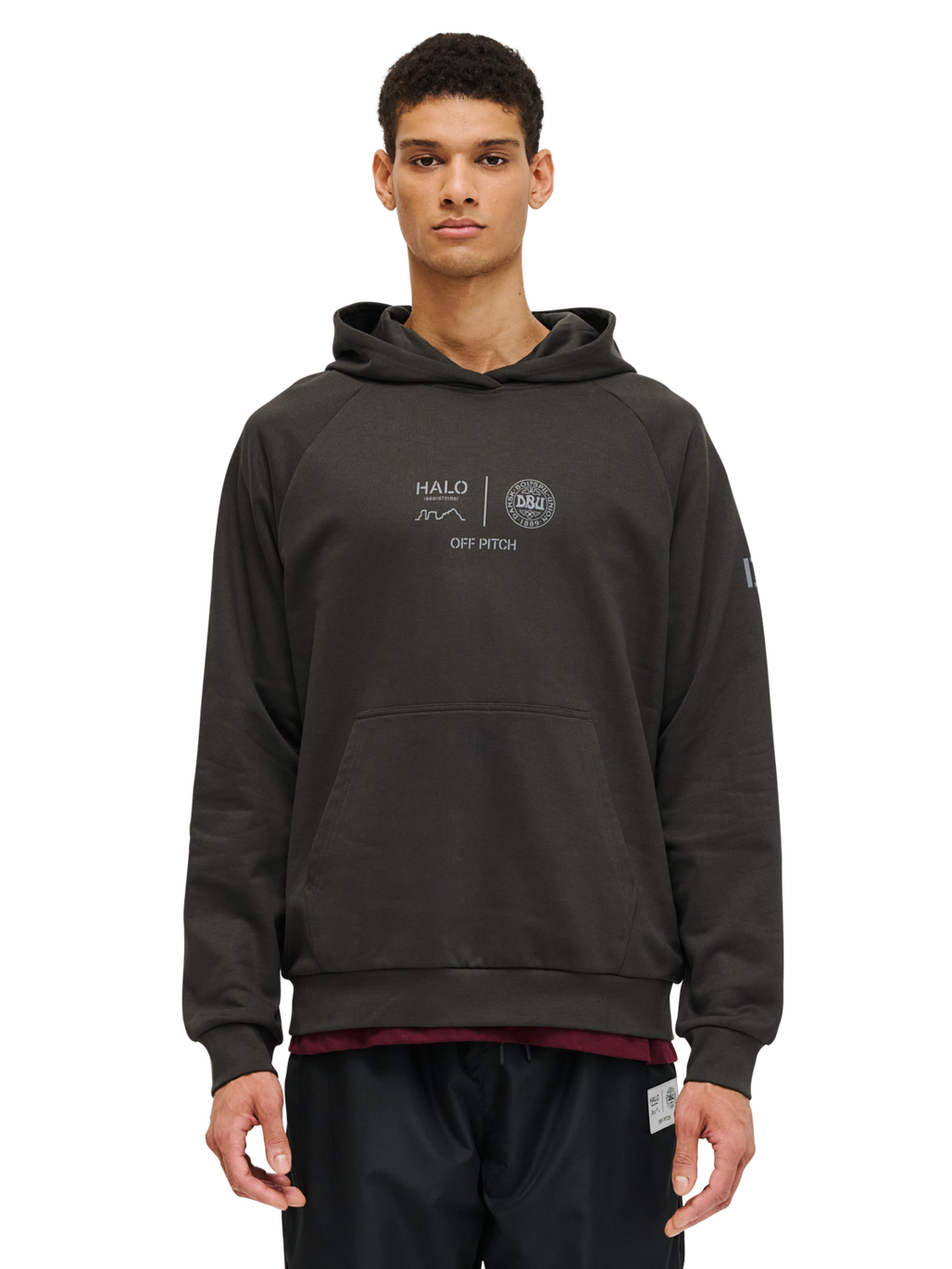 HALO DBU GRAPHIC HOODIE, RAVEN, model