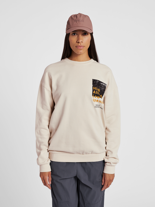 HALO GRAPHIC CREW, SILVER BIRCH, model
