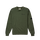 OLIVE NIGHT