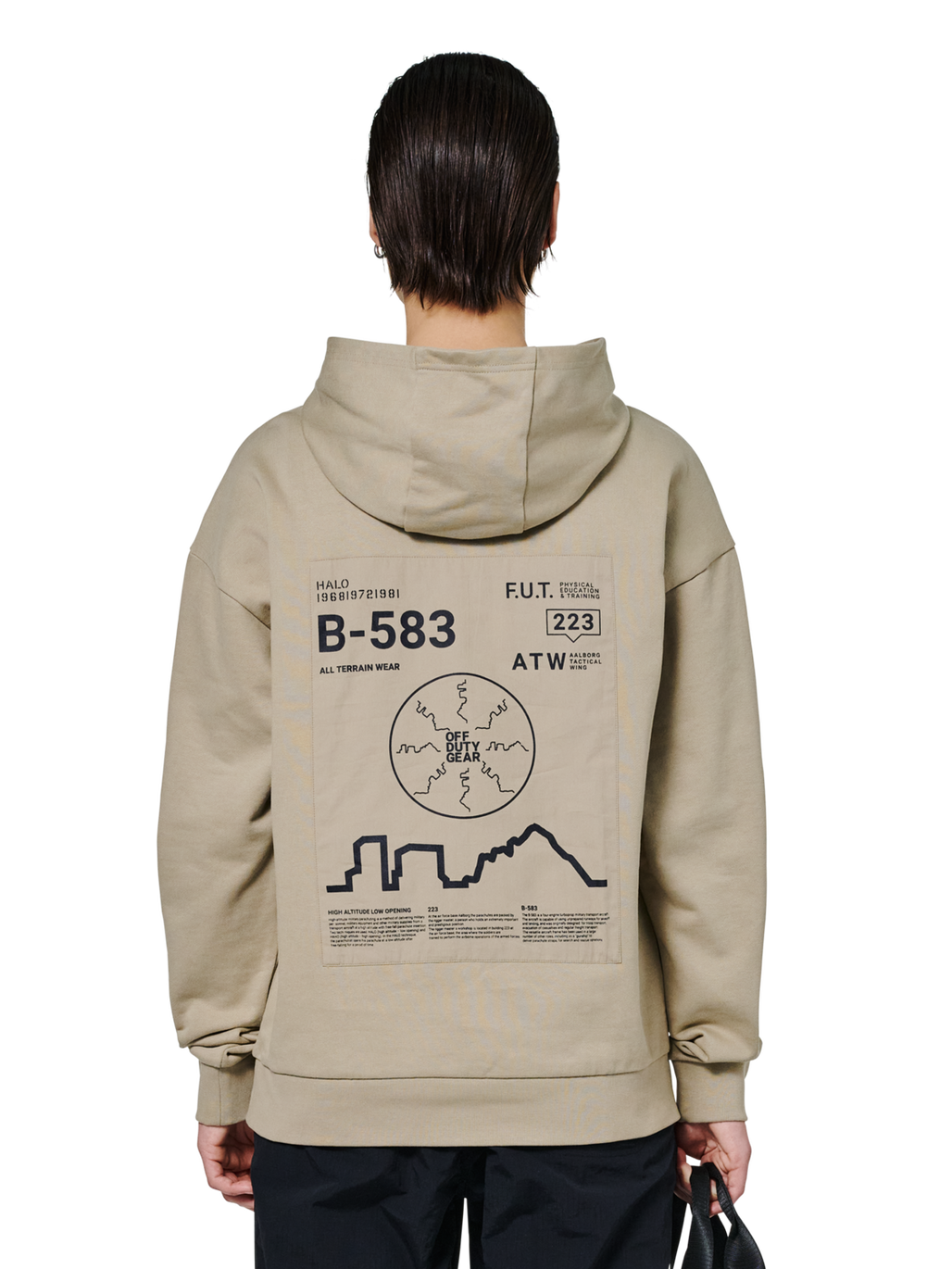 HALO GRAPHIC HOODIES, SENECA ROCK, model