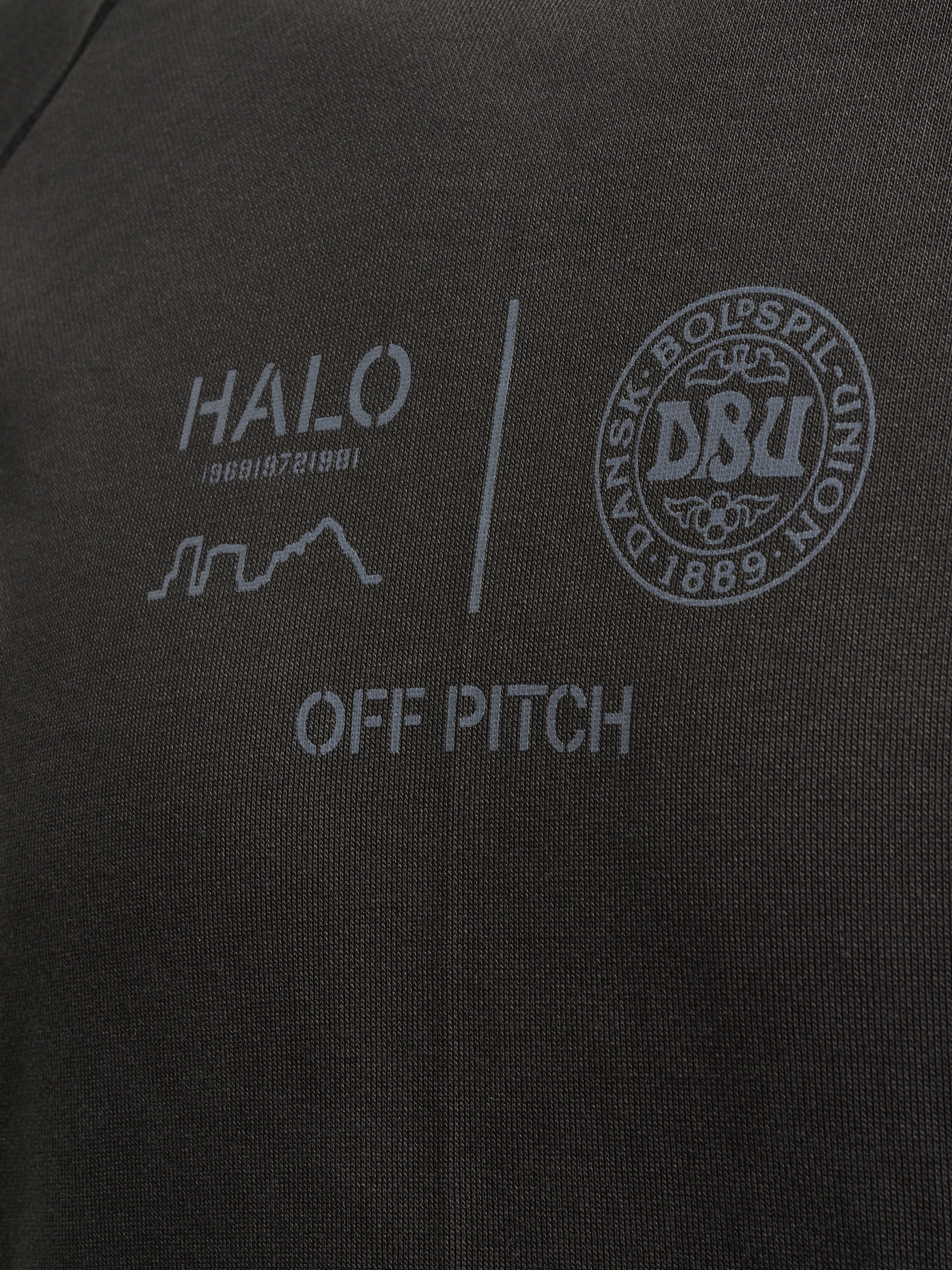 HALO DBU GRAPHIC HOODIE, RAVEN, packshot