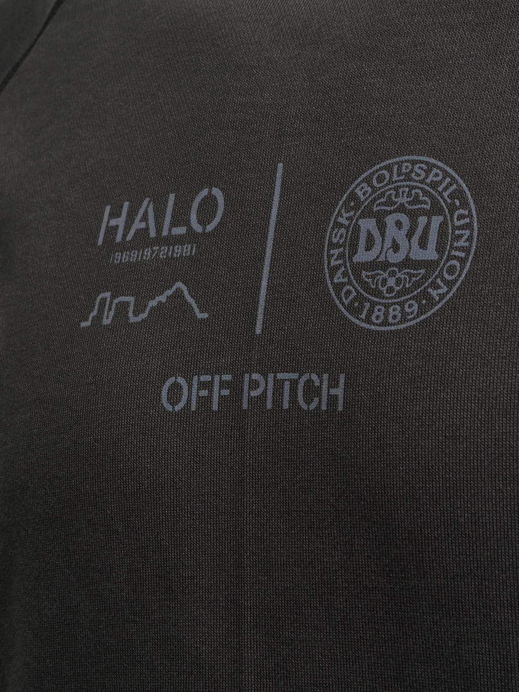 HALO DBU GRAPHIC HOODIE, RAVEN, packshot