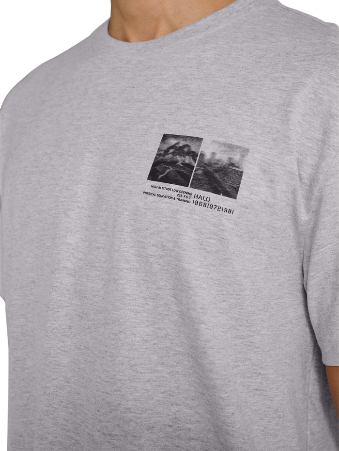 HALO GRAPHIC T-SHIRT, LIGHT GREY MELANGE, model