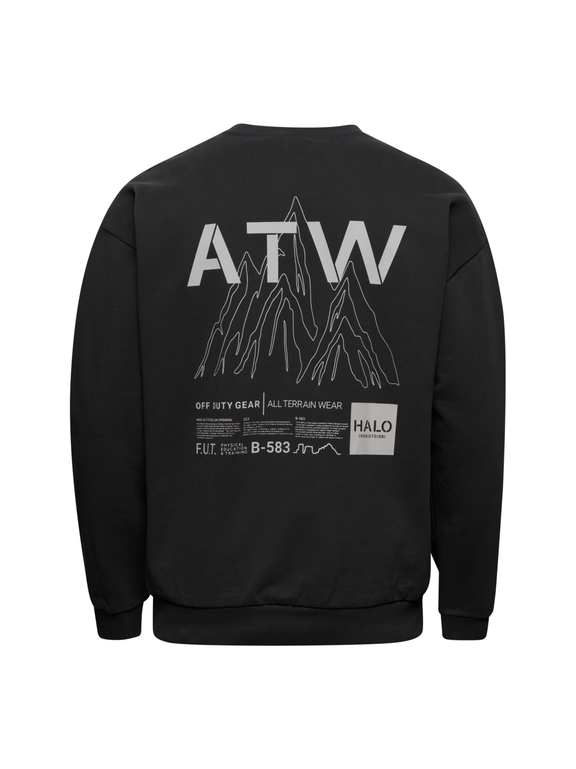 HALO GRAPHIC CREW 02, RAVEN, packshot