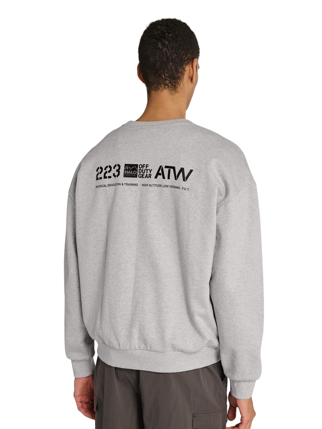 HALO GRAPHIC BOXY CREW, LIGHT GREY MELANGE, model