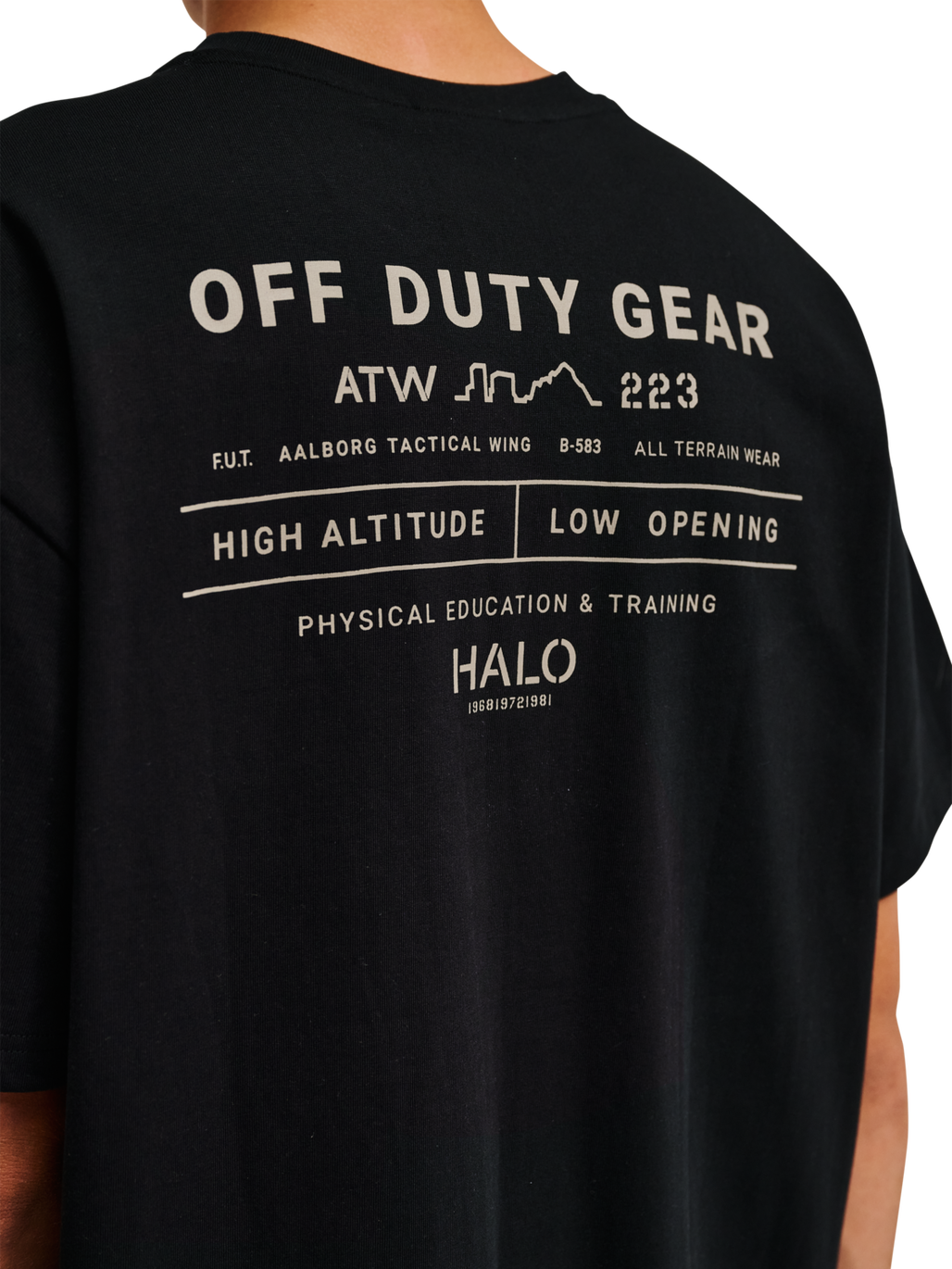 HALO GRAPHIC T-SHIRT, BLACK/SENECA ROCK/SR, model