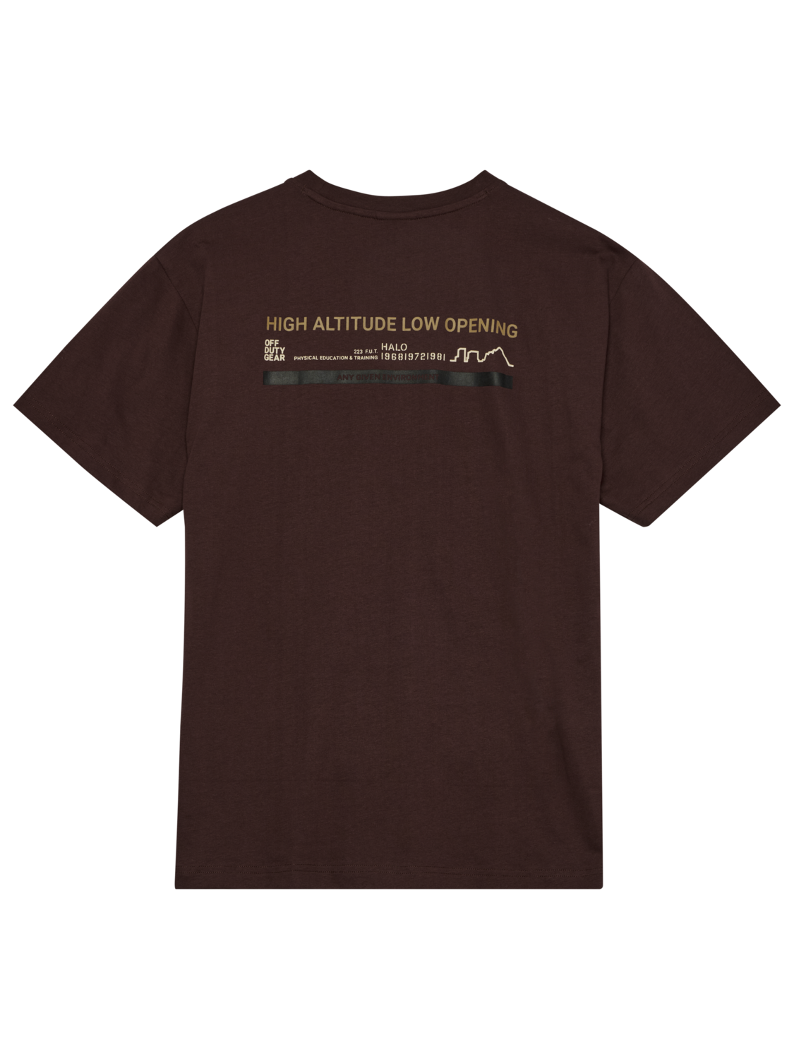 HALO GRAPHIC T-SHIRT, BITTER CHOCOLATE/BITTERCHOCOLA, packshot