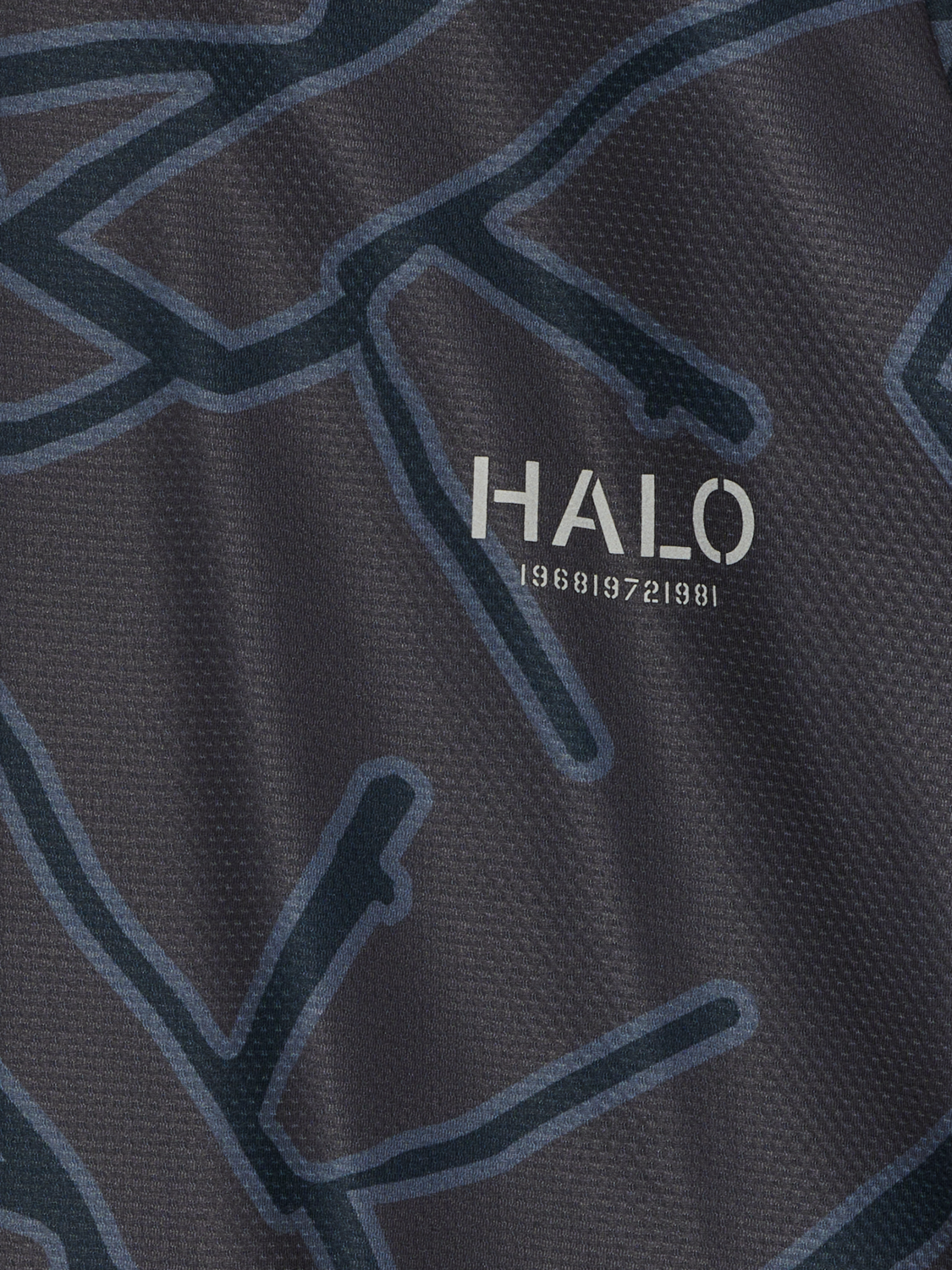 HALO SORONA HALF ZIP, TURBULENCE, packshot