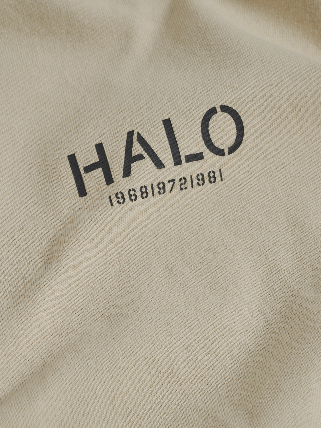 HALO HEAVY GRAPHIC T-SHIRT L/S, 8754, packshot