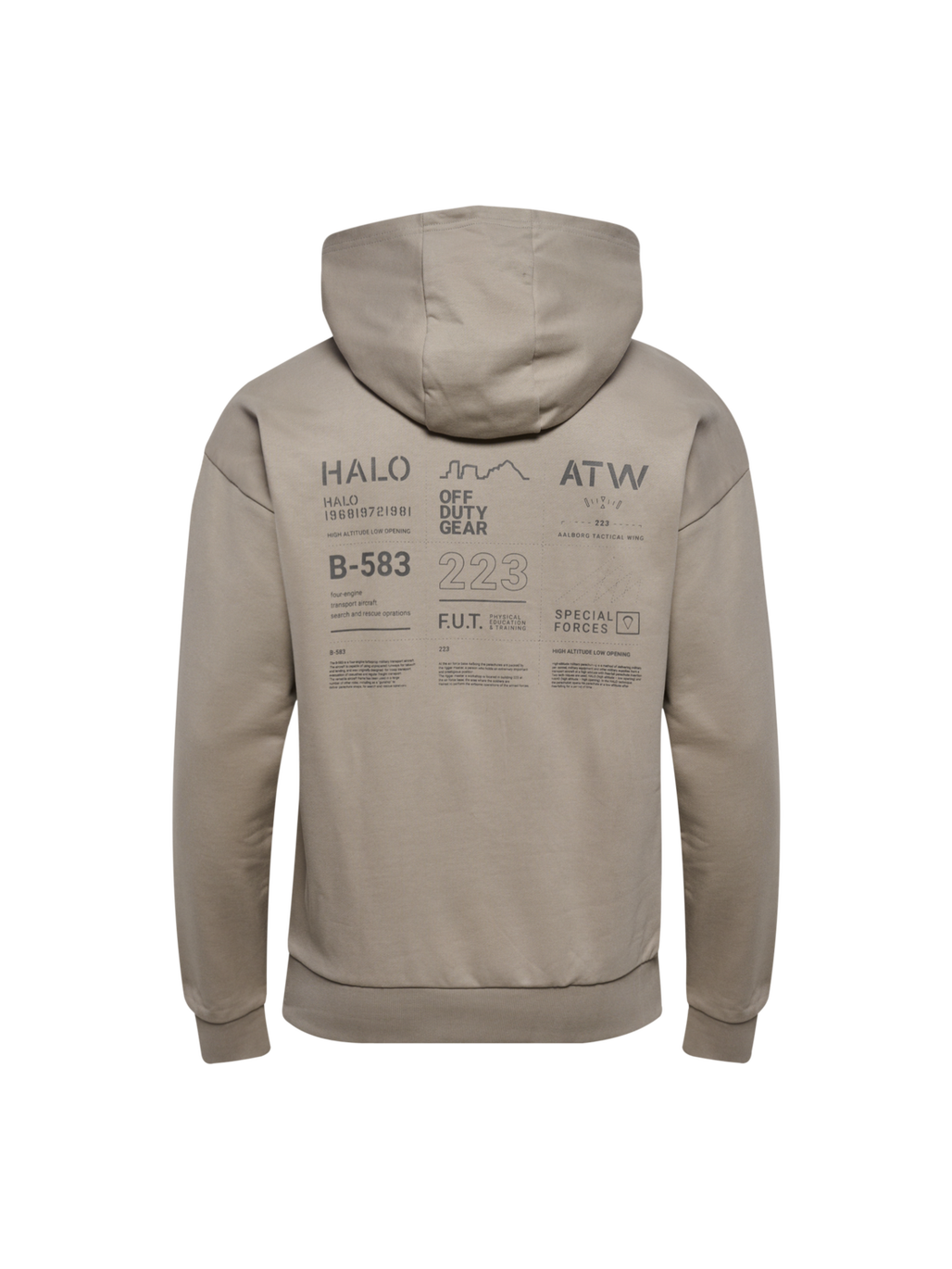 HALO GRAPHIC HOODIE, MOURNING DOVE, packshot