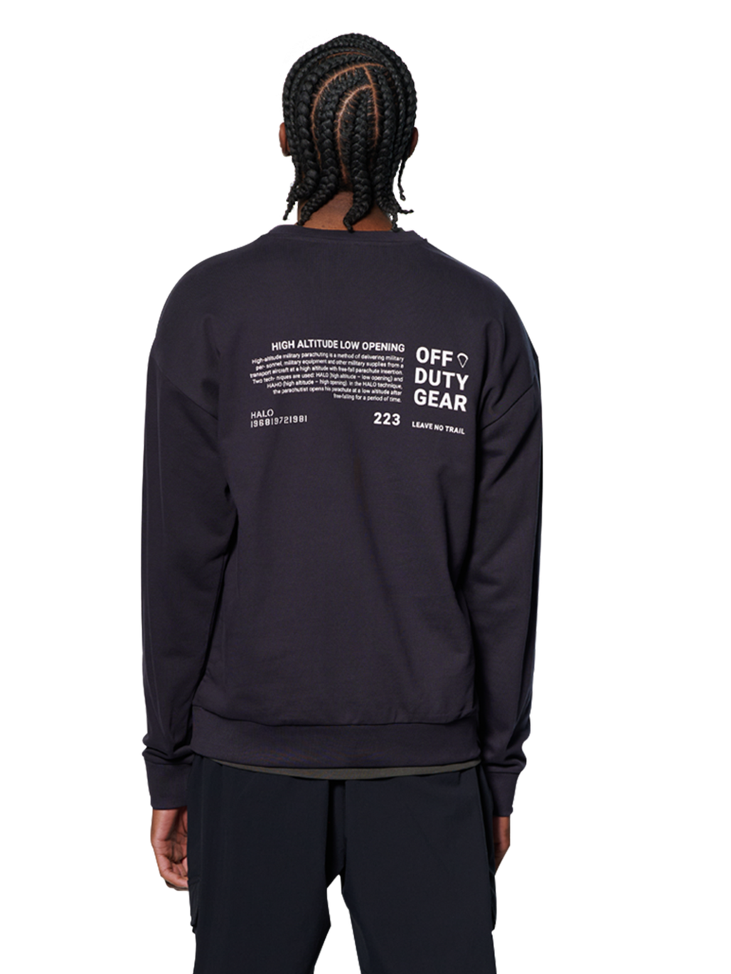 HALO LOGO GRAPHIC CREW, DEEP WELL, model