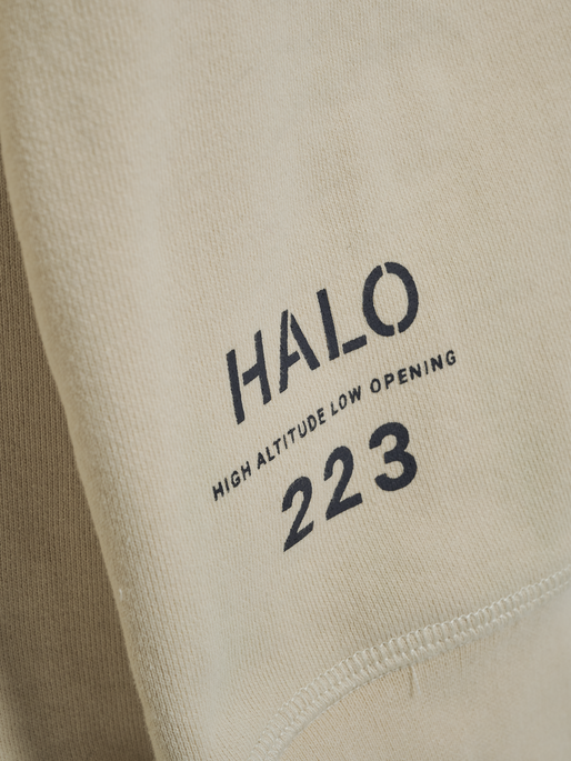 HALO HEAVY GRAPHIC HALFZIP, OYSTER GRAY, packshot