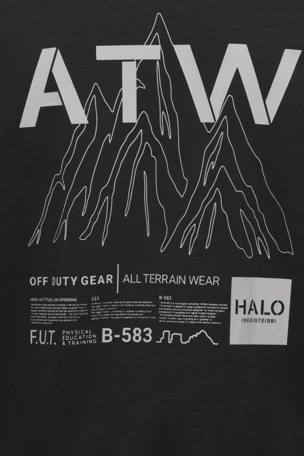 HALO GRAPHIC CREW 02, RAVEN, packshot