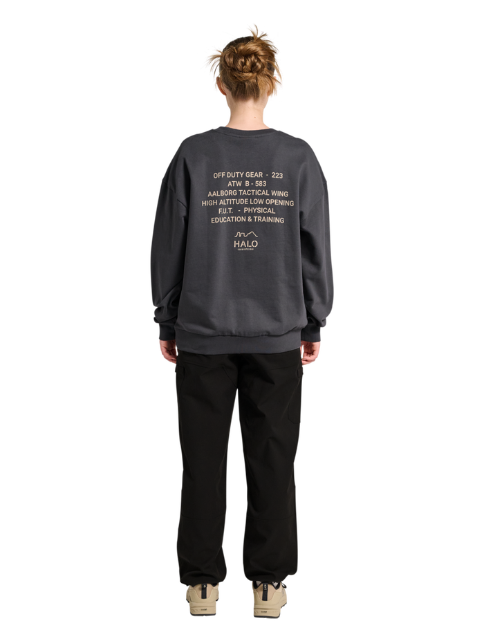 HALO GRAPHIC BOXY CREW, ASPHALT, model